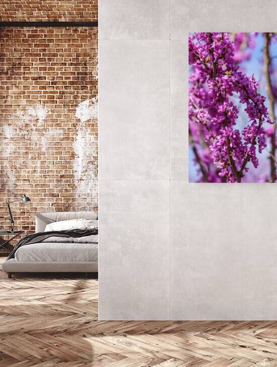 Bent Purple Redbud Branches by Jennifer White