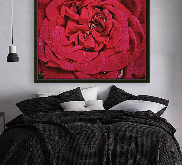 RED ROSE    by rizu_designs