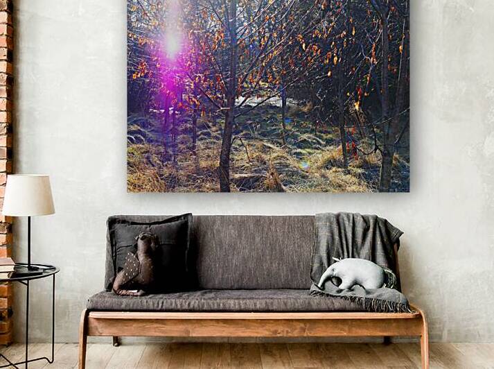 Scottish Highlands Visitation                                                                                                           by Catriona Roberts Nature Photography and Designs