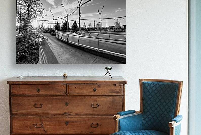 Omaha Skate Park Golden Sun Star Grayscale by Jennifer White