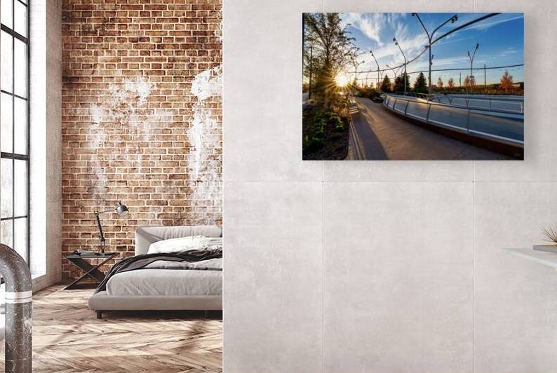 Omaha Skate Park Golden Sun Star by Jennifer White