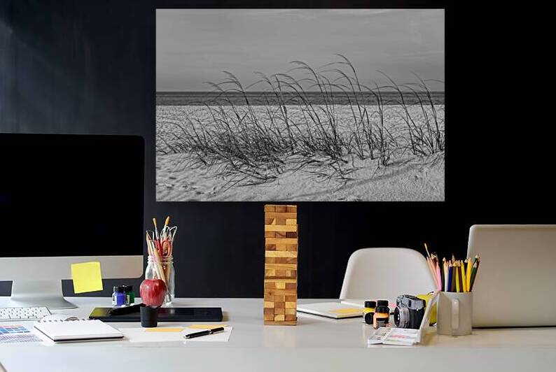 Row Of Sea Oats White Sand Beach Grayscale by Jennifer White
