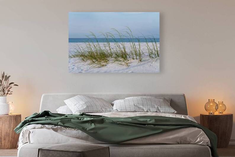 Row Of Sea Oats White Sand Beach by Jennifer White