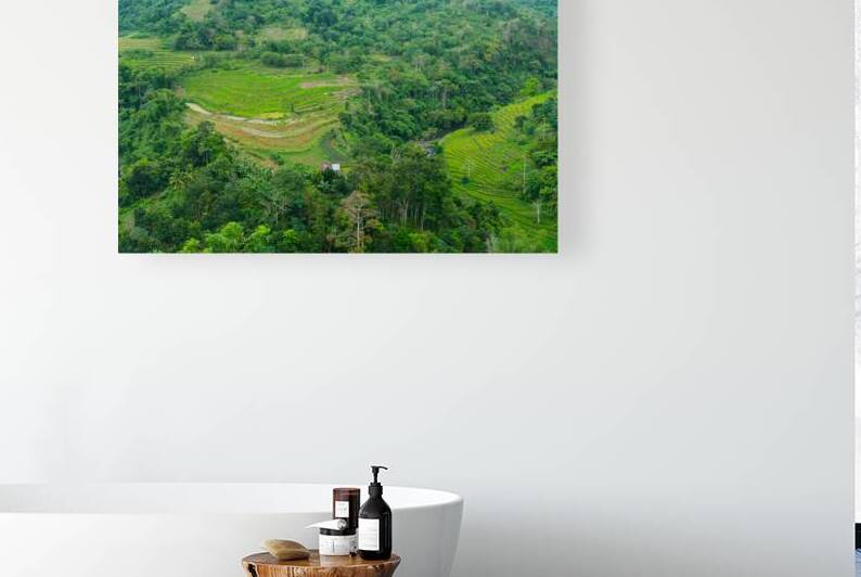 Mountain Rice Fields of Negros Island Emerald Tranquility by Bo Insogna