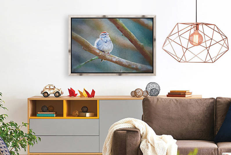 Chipping Sparrow by Ricky A Richardson 