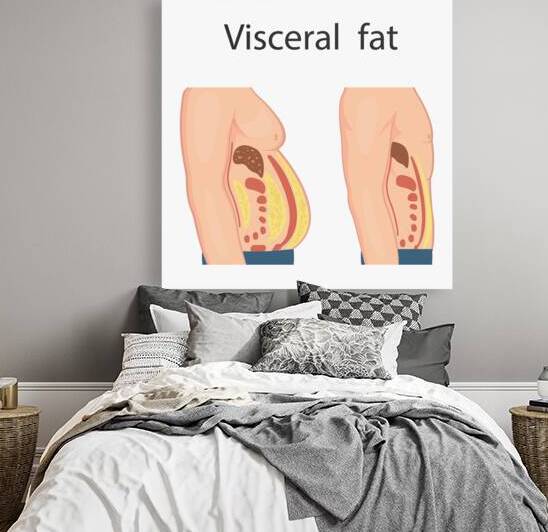 Visceral fat by Point Art