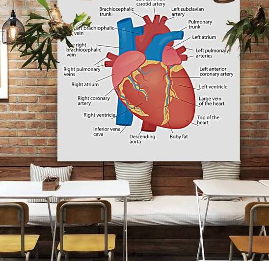 Anatomy of the human heart by Point Art