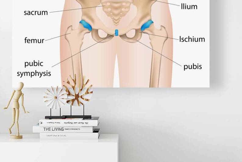 Hip pain bursitis by Point Art