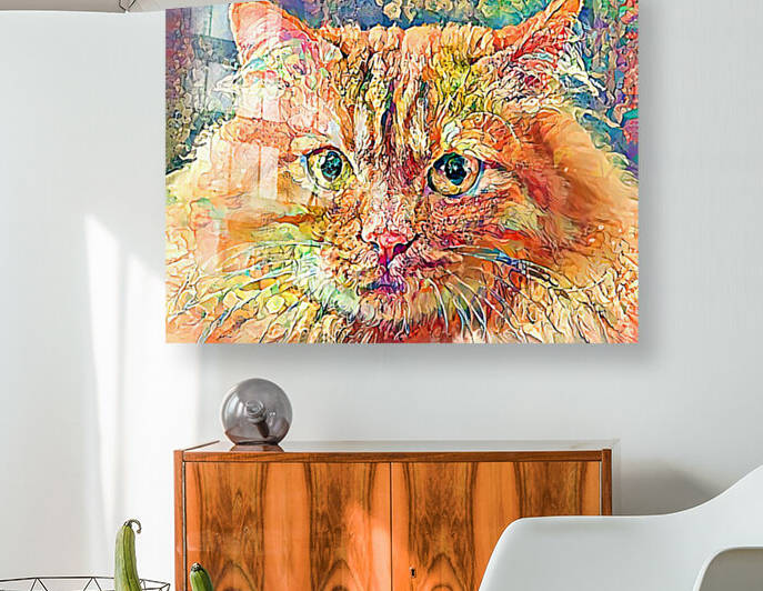 Josie The Yellow Tabby Cat by HH Photography of Florida