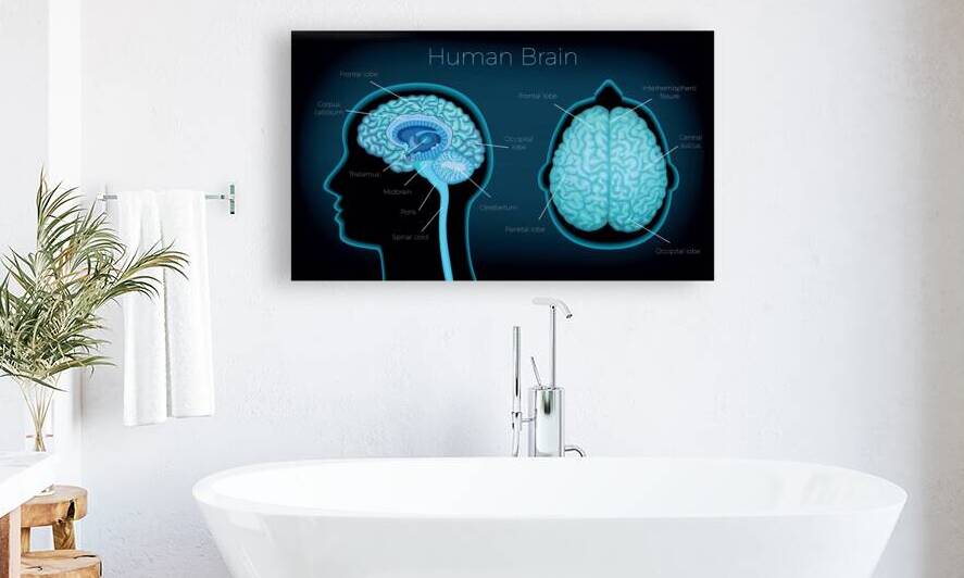 Human Brain by Point Art