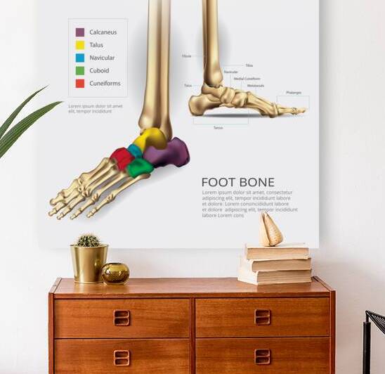 Foot Bone by Point Art