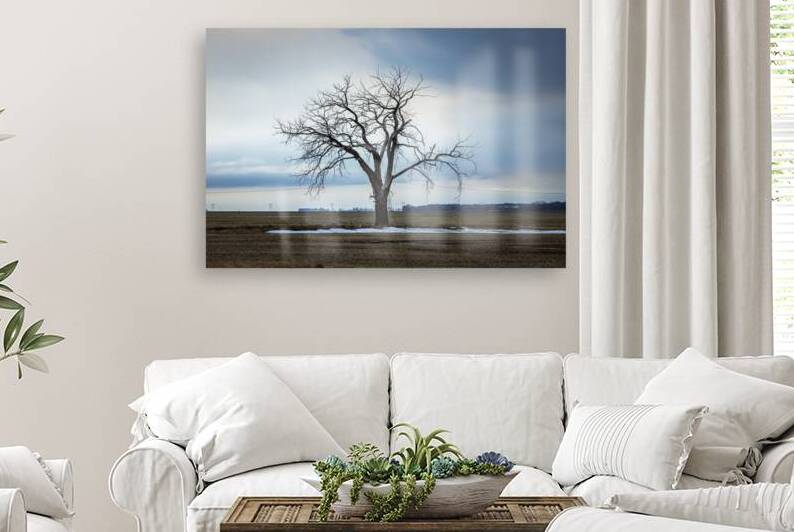 The Last Stand by Marc Gilbert Photography