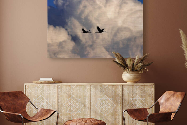 Sandhill Cranes in Cumulus Clouds by Joe Riederer