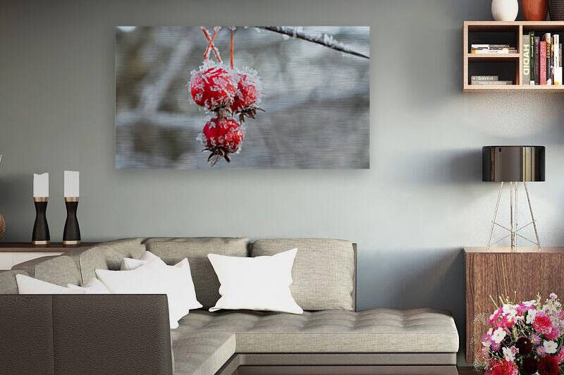 frosted hawthorn fruit by Joe Riederer