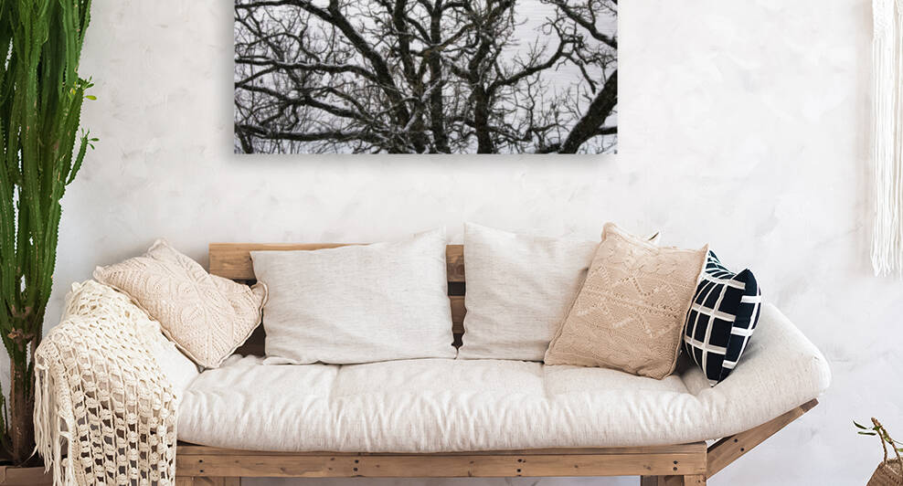 snowy tree by Joe Riederer