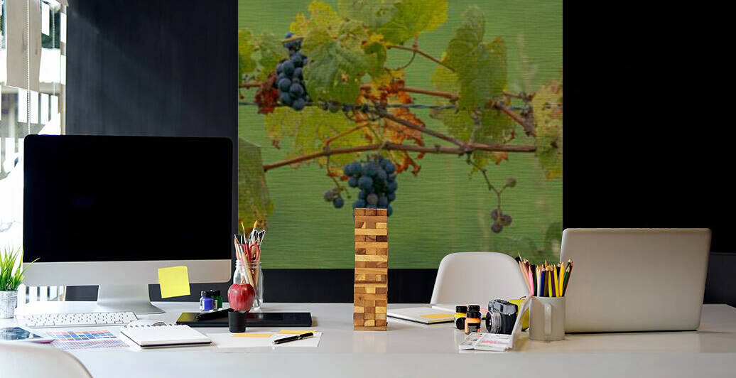 Wild Grapes on fence by Joe Riederer