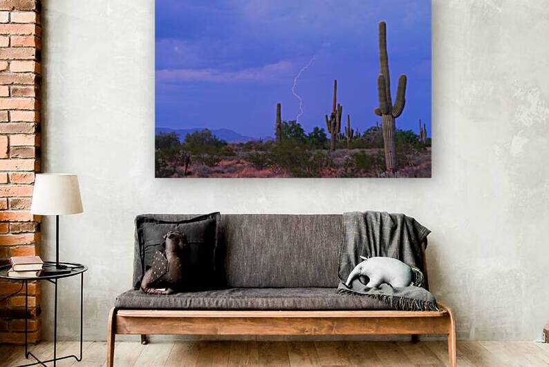 Southwest Sonoran Desert Lightning Strike by Bo Insogna
