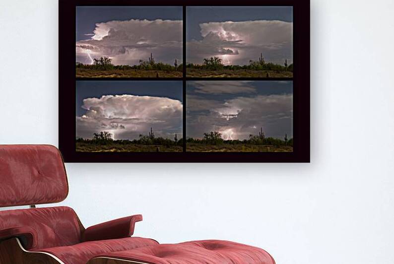 Storming Sonoran Desert by Bo Insogna