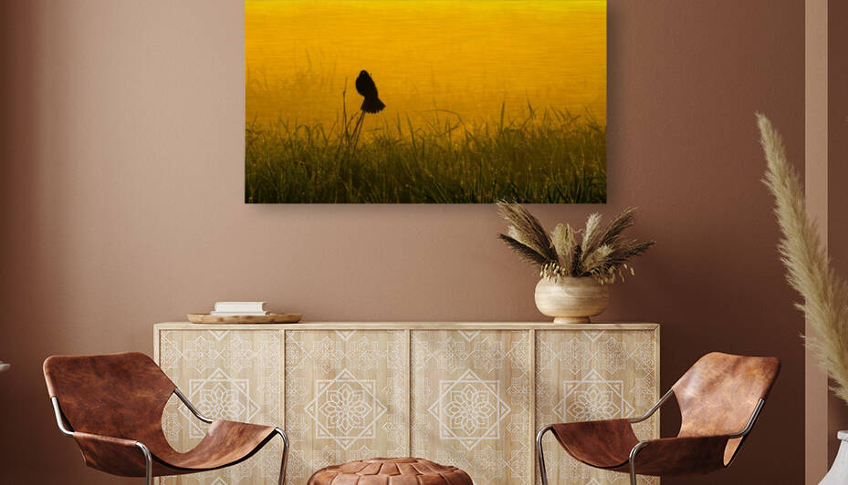 Redwing in Fog by Joe Riederer