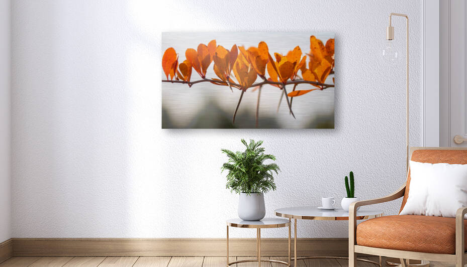 Hawthorn in fall with ladybug by Joe Riederer