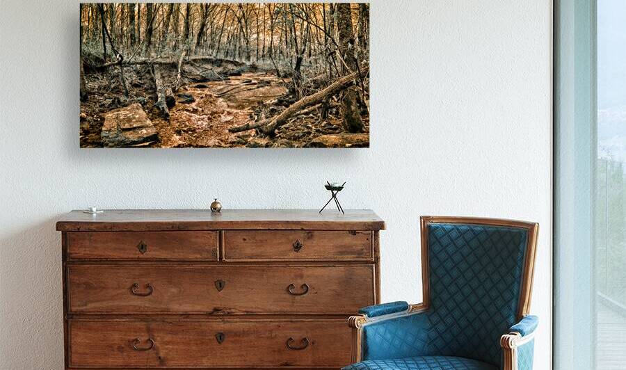 Ghostly Flow: Exploring Gettysburgs Bloody Run in Infrared by Dream World Images