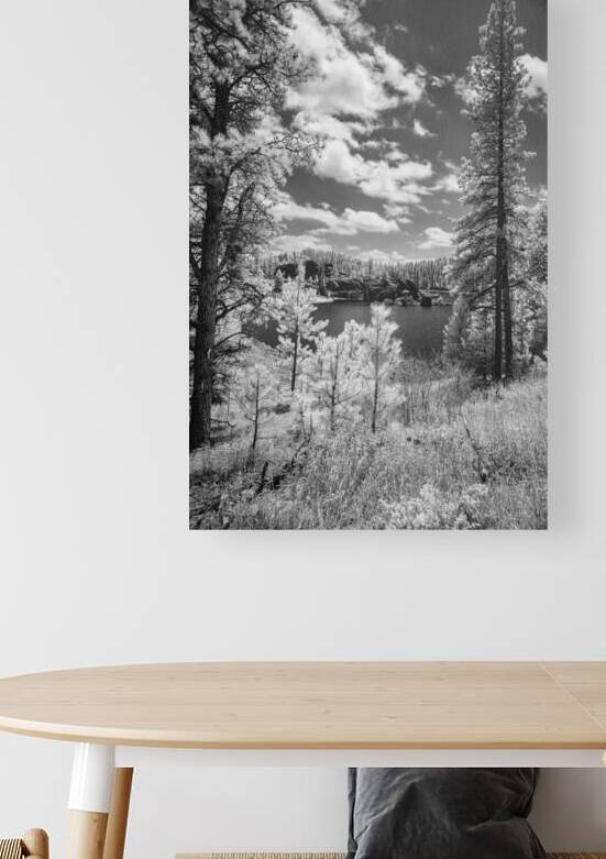 Sylvan Lake Overview by Dream World Images