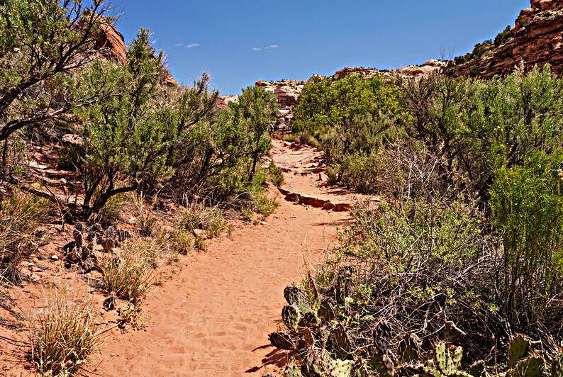 Pathway Through Grand Staircase Escalante by Jennifer White
