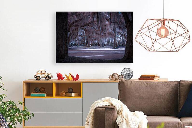 Shadows Cast by Enchanted Light by Dream World Images