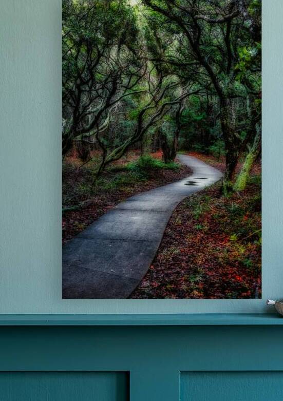 Solitary Trails: Melancholy Path by Dream World Images