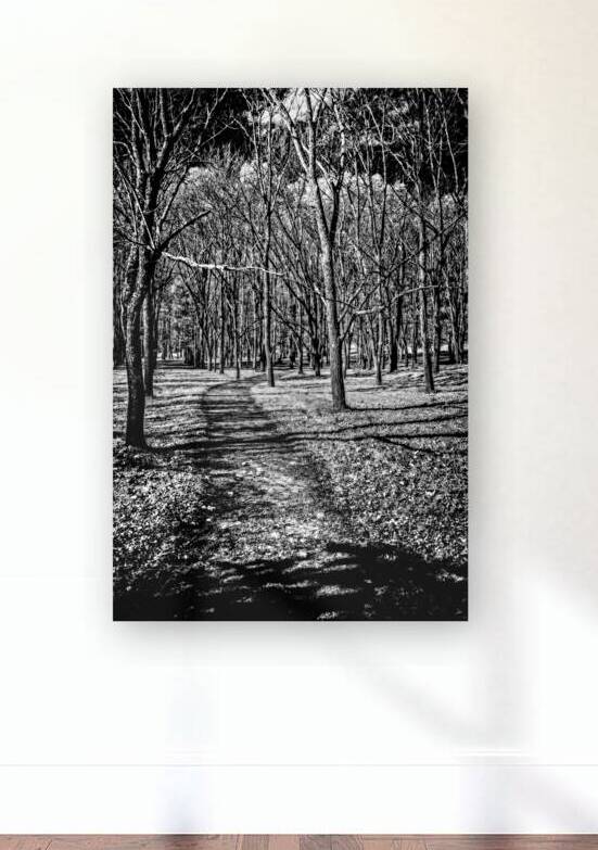 Solitary Trails: Eerie Path Near Knoxville by Dream World Images