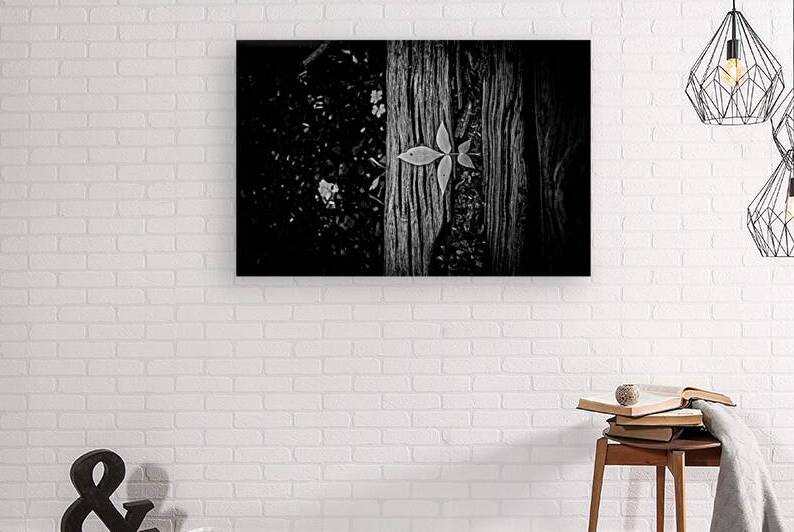 Step Above  by Dream World Images