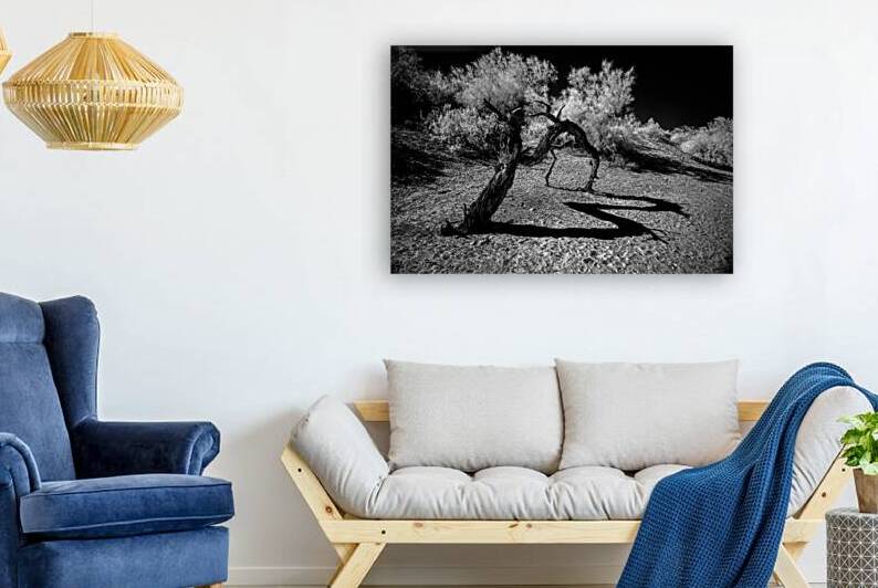 Desert Trees Shadowy Dance by Dream World Images