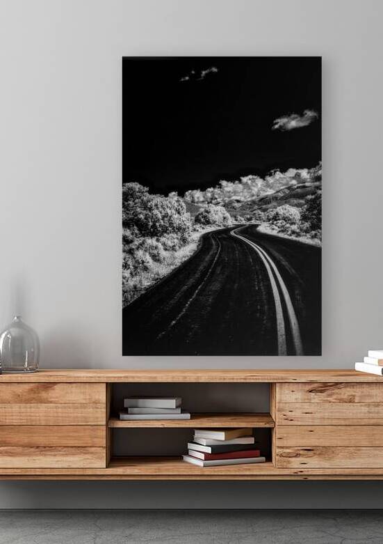 Symphony of Road and Foliage by Dream World Images