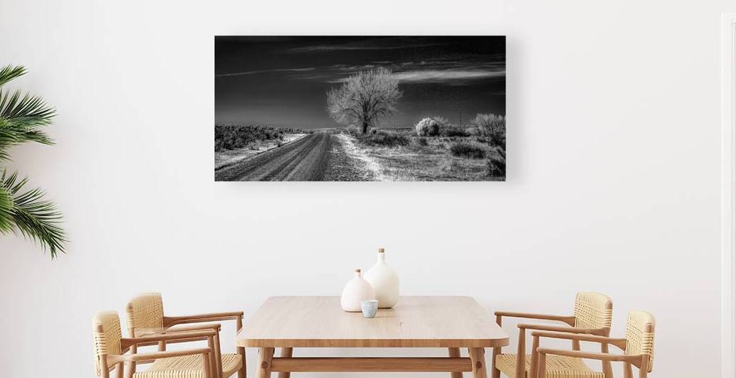 Ethereal Encounters: A Monochrome Journey Through Dawson New Mex by Dream World Images