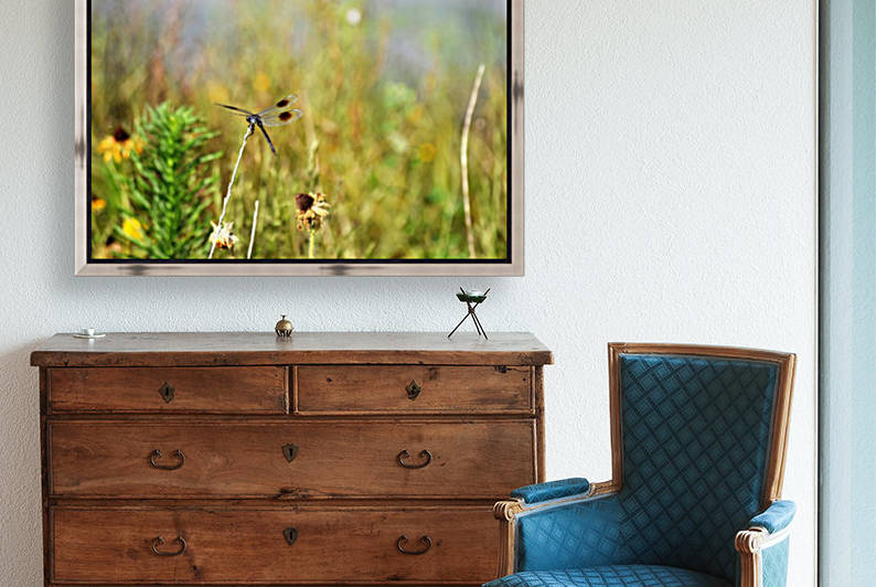 Dragonfly by Karen Janczak