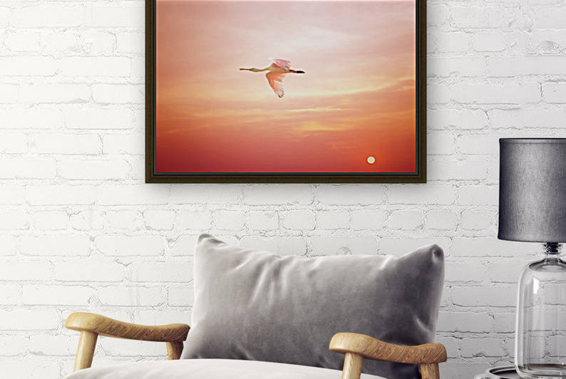 Rosette Sunset by Karen Janczak