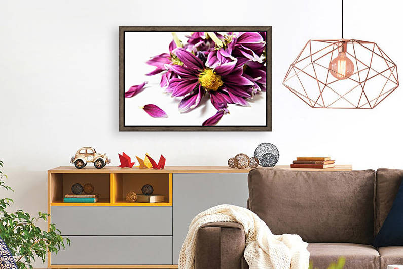 Faded Purple Daisy by Karen Janczak