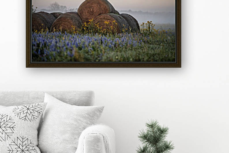 Foggy Spring Morning at the Farm by Karen Janczak