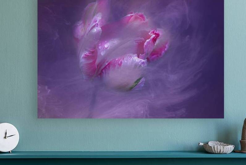 Pink Tulip in Swirling Mist by Joan Han