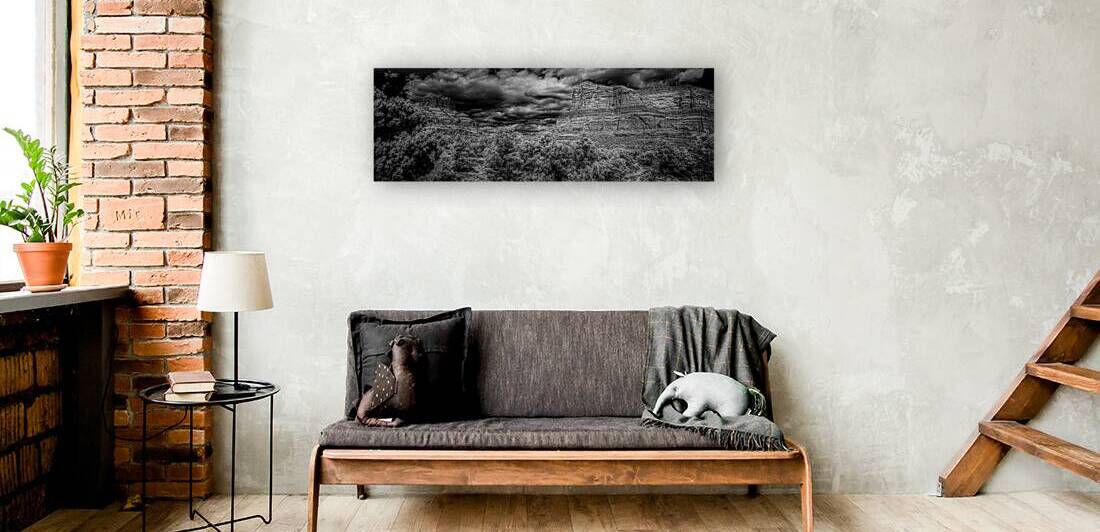 Desert Majesties in Monochrome by Dream World Images