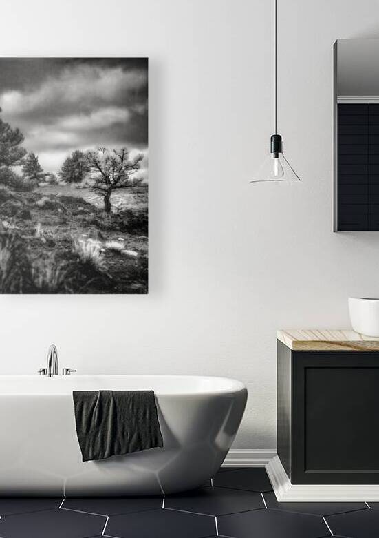 Solitude Unveiled: A Mystical Wyoming Lone Tree at Guernsey Stat by Dream World Images