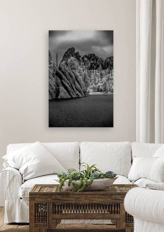 Sylvan Serenity: A Monochrome Tale of Natures Harmony in Custer  by Dream World Images