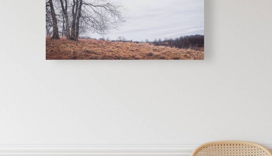 Lehigh Valley January Landscape by Jason Fink