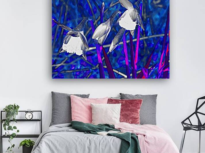 Abstract Psychedelic Daffodils                                                                                                                      by Catriona Roberts Nature Photography and Designs