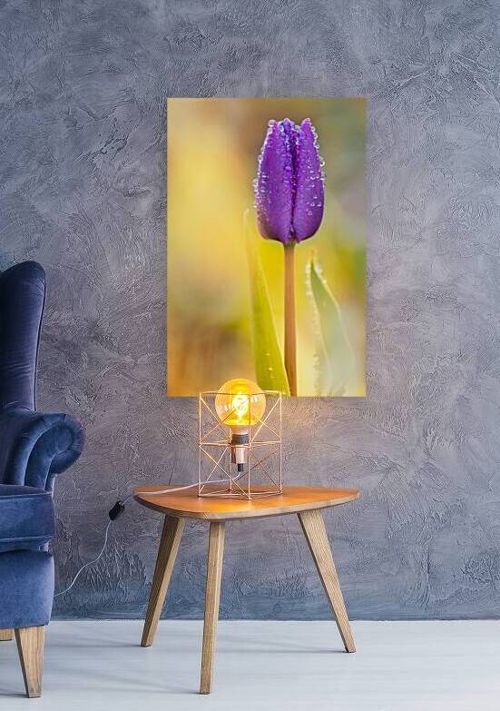 Purple Tulip Bud I by Joan Han