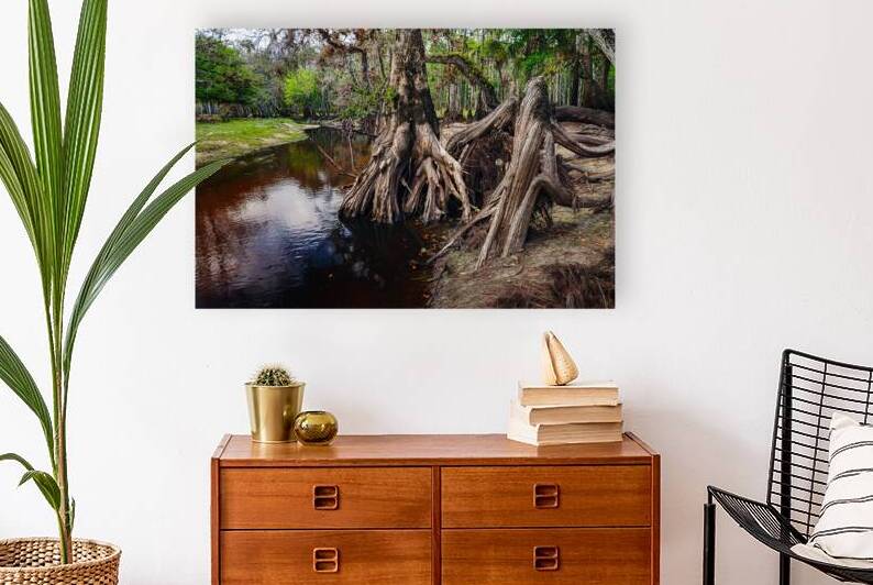 Toes in Fisheating Creek by Andy Crawford