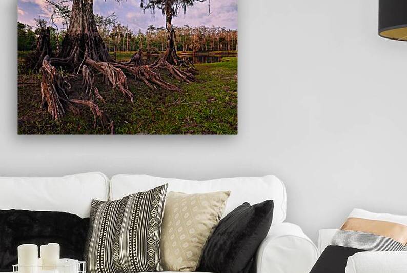 Evening Along Fisheating Creek. by Andy Crawford