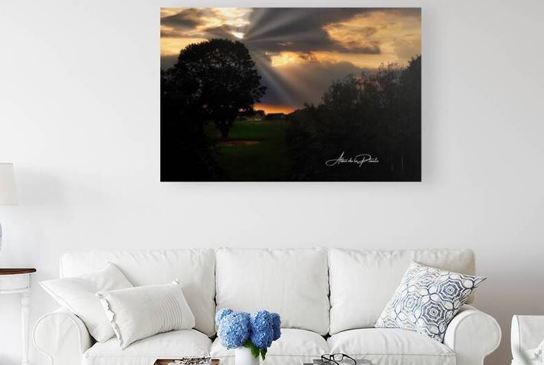 Morning Rays by Allan de la Plante