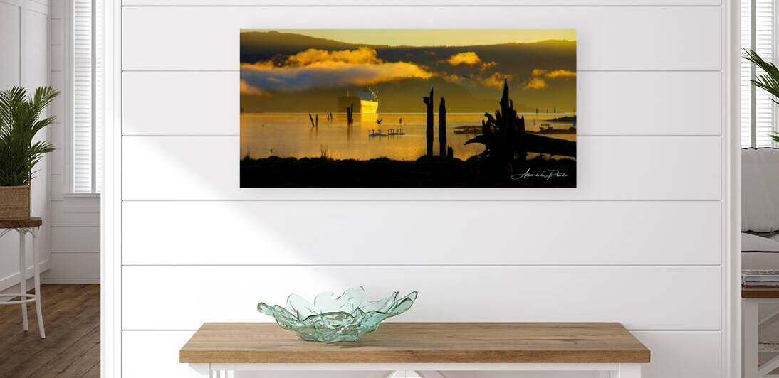 Lift off in the Morning Mist by Allan de la Plante