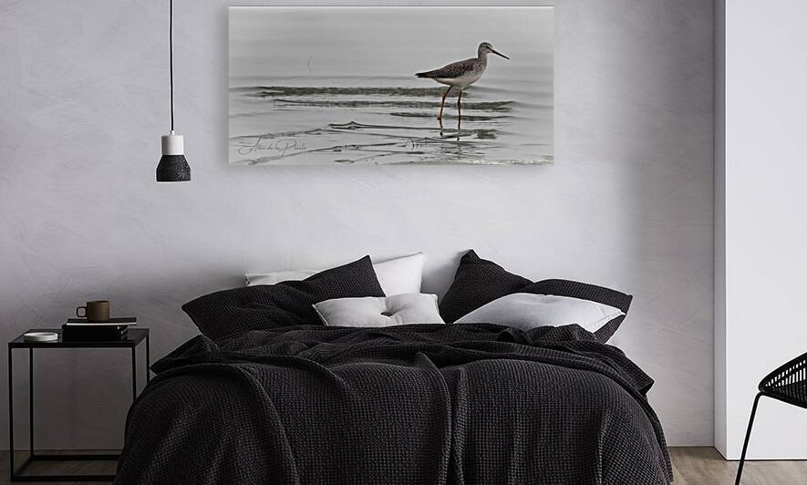 Sandpiper in the Mist. by Allan de la Plante